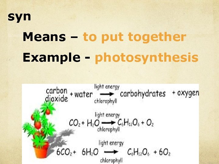 syn Means – to put together Example - photosynthesis 