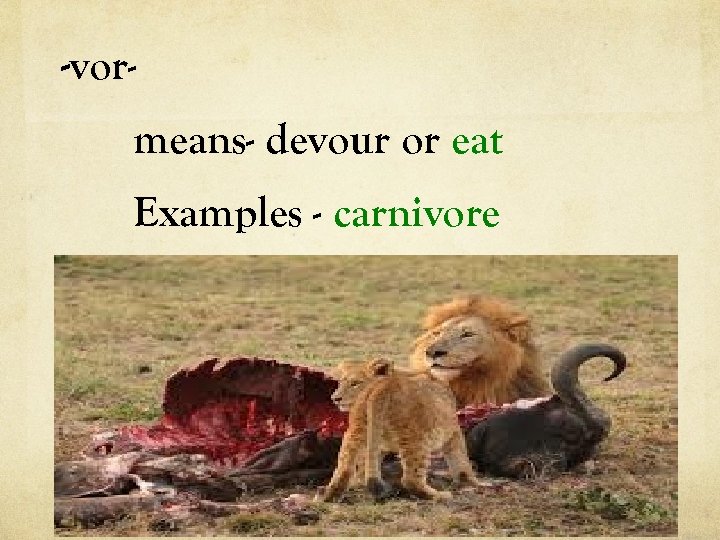 -vor- means- devour or eat Examples - carnivore 