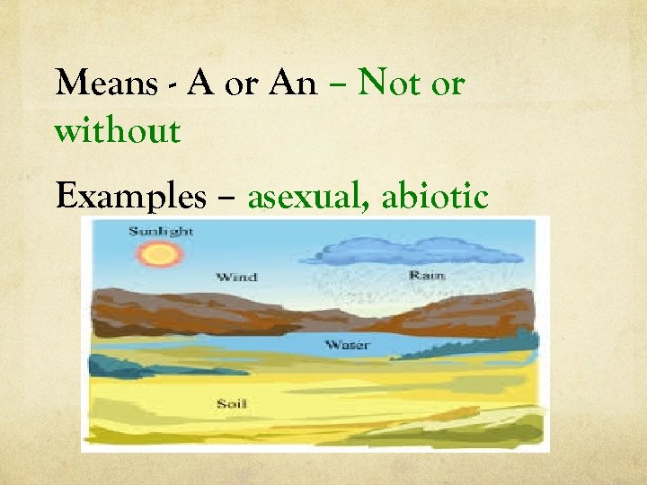 Means - A or An – Not or without Examples – asexual, abiotic 