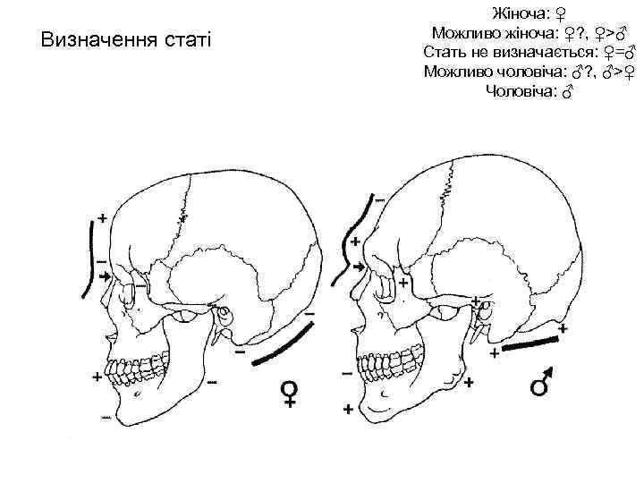 Визначення статі Жіноча: ♀ Можливо жіноча: ♀? , ♀>♂ Стать не визначається: ♀=♂ Можливо