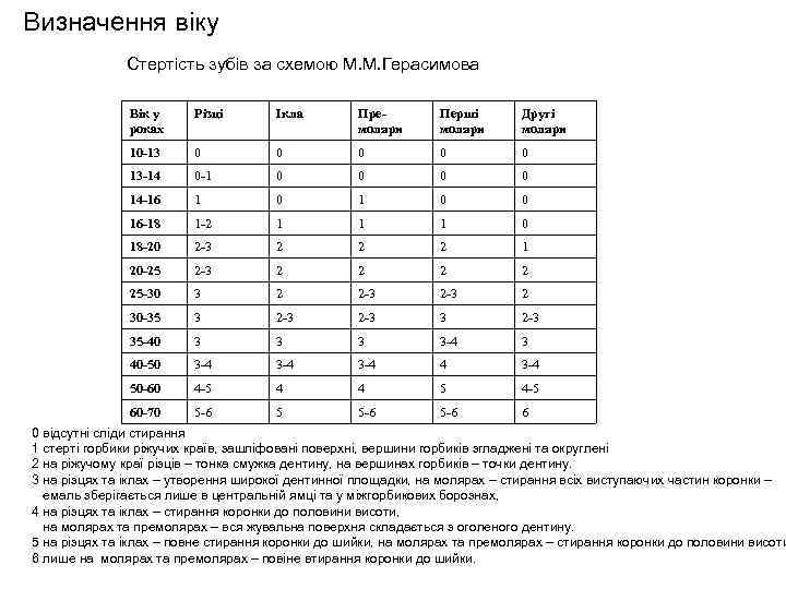 Визначення віку Стертість зубів за схемою М. М. Герасимова Вік у роках Різці Ікла