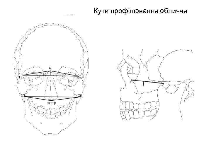 Кути профілювання обличчя 