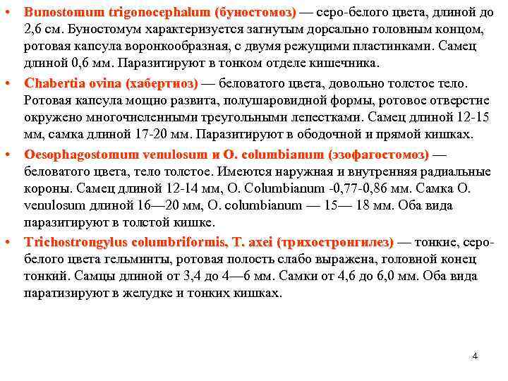  • Bunostomum trigonocephalum (буностомоз) — серо-белого цвета, длиной до 2, 6 см. Буностомум