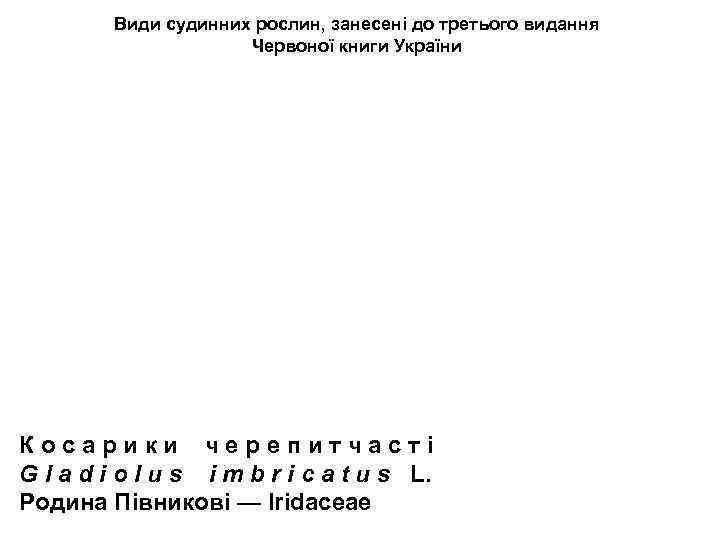 Види судинних рослин, занесені до третього видання Червоної книги України К о с а