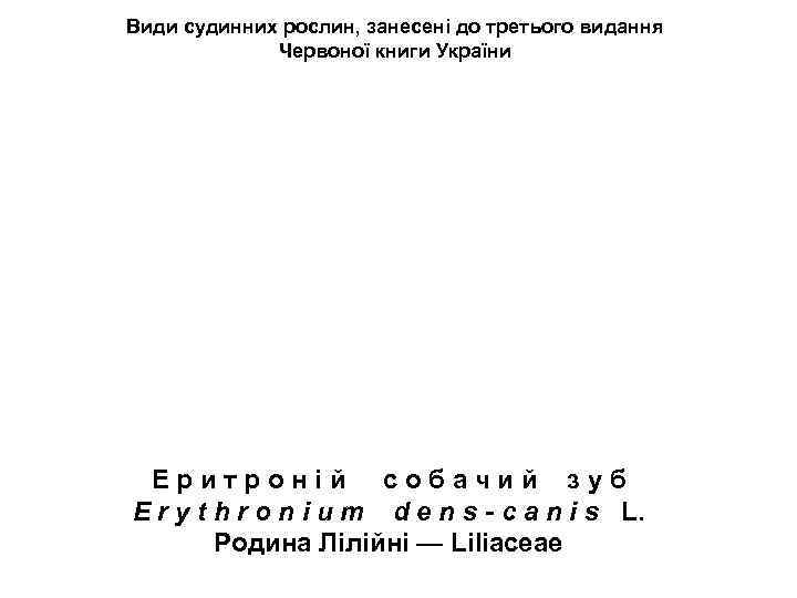 Види судинних рослин, занесені до третього видання Червоної книги України Е р и т