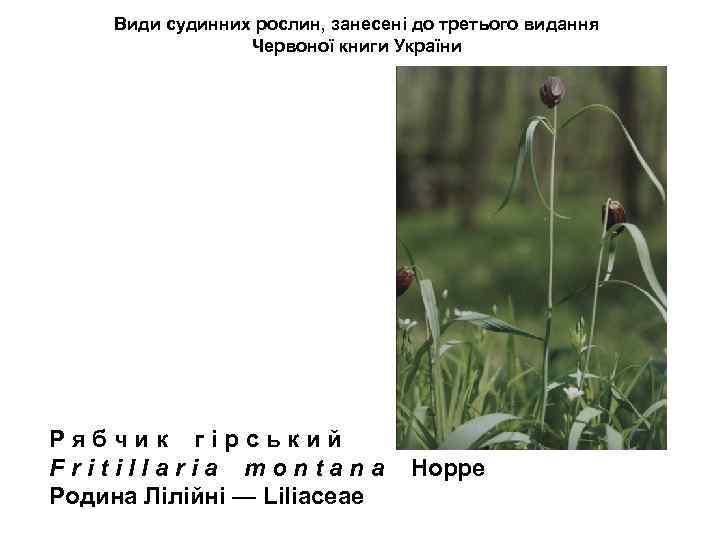 Види судинних рослин, занесені до третього видання Червоної книги України Р я б ч
