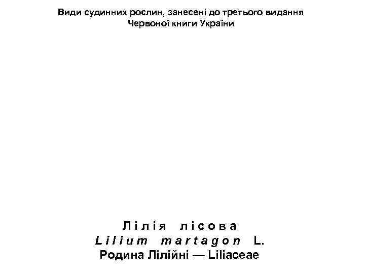 Види судинних рослин, занесені до третього видання Червоної книги України Л і л і
