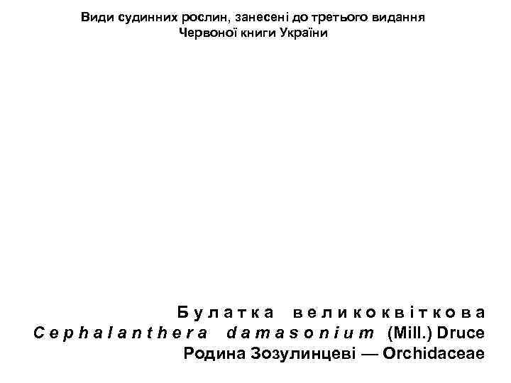 Види судинних рослин, занесені до третього видання Червоної книги України Б у л а