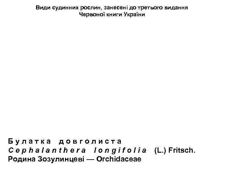 Види судинних рослин, занесені до третього видання Червоної книги України Б у л а