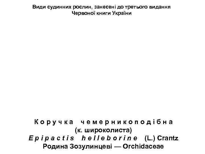 Види судинних рослин, занесені до третього видання Червоної книги України К о р у