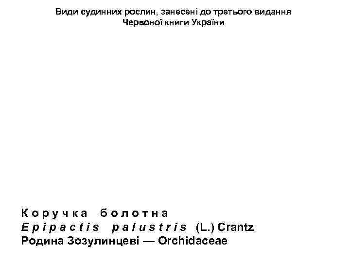Види судинних рослин, занесені до третього видання Червоної книги України К о р у