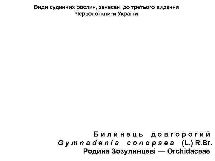 Види судинних рослин, занесені до третього видання Червоної книги України Б и л и