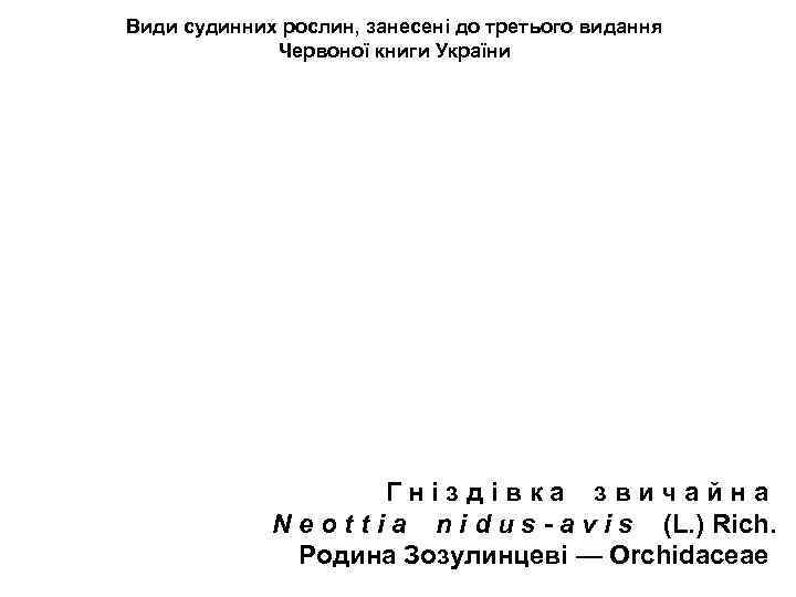 Види судинних рослин, занесені до третього видання Червоної книги України Г н і з