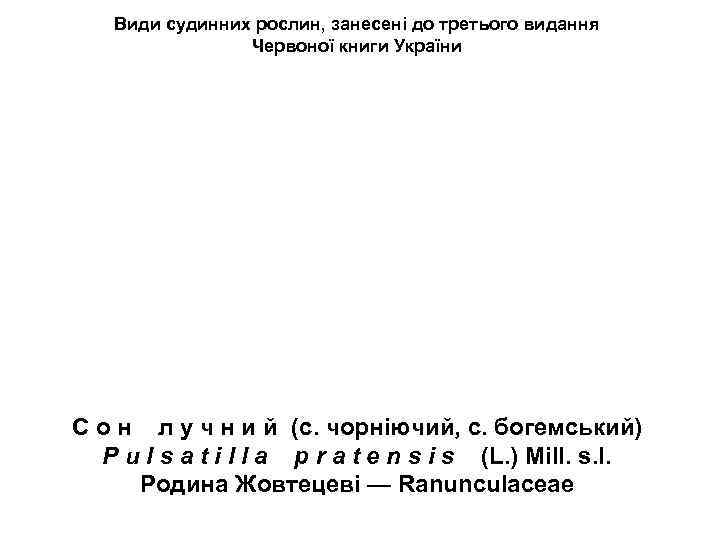 Види судинних рослин, занесені до третього видання Червоної книги України С о н л