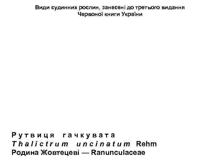 Види судинних рослин, занесені до третього видання Червоної книги України Р у т в
