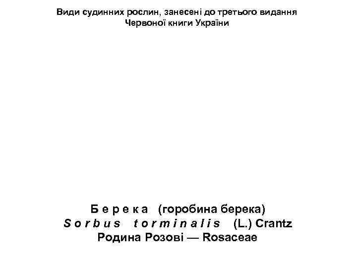 Види судинних рослин, занесені до третього видання Червоної книги України Б е р е