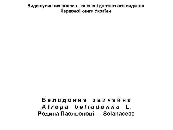 Види судинних рослин, занесені до третього видання Червоної книги України Б е л а