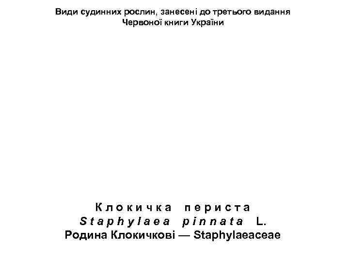 Види судинних рослин, занесені до третього видання Червоної книги України К л о к