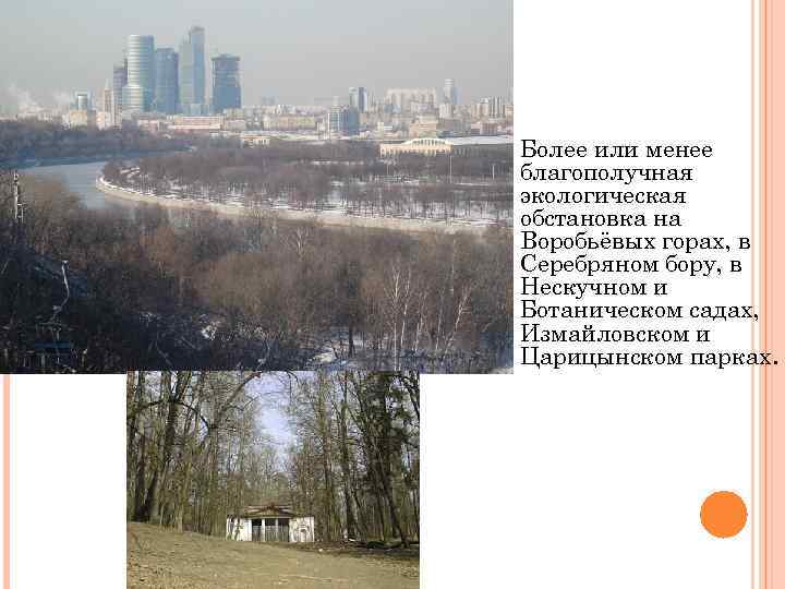  Более или менее благополучная экологическая обстановка на Воробьёвых горах, в Серебряном бору, в