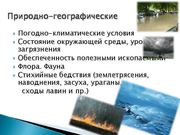 Природно-географические Погодно-климатические условия Состояние окружающей среды, уровень загрязнения Обеспеченность полезными ископаемыми Флора. Фауна Стихийные