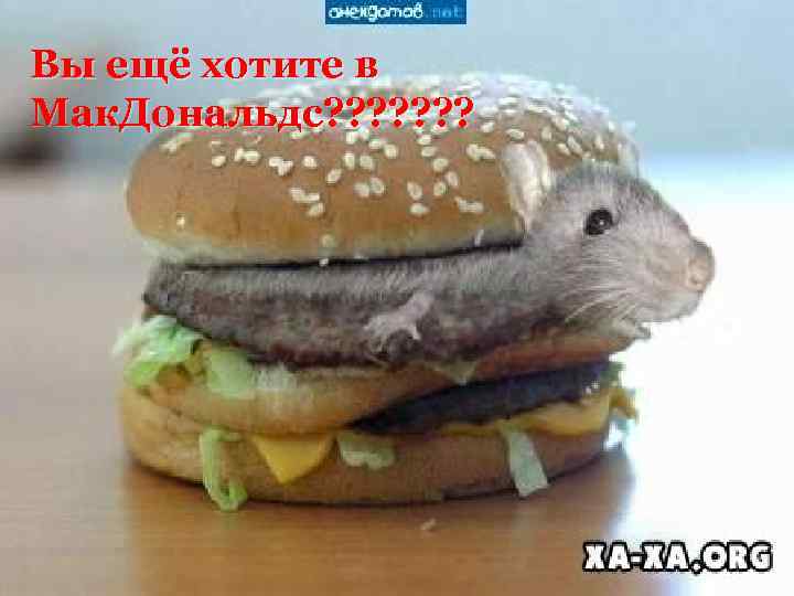 Вы ещё хотите в Мак. Дональдс? ? ? ? 
