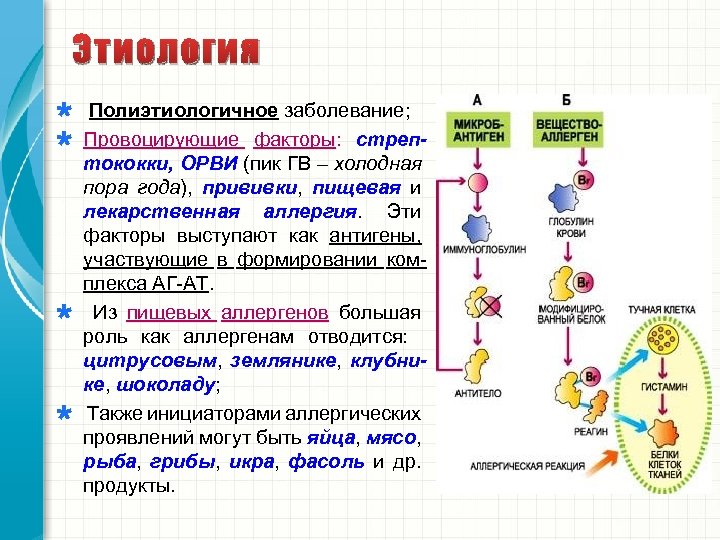 Этиология Полиэтиологичное заболевание; Провоцирующие факторы: стрептококки, ОРВИ (пик ГВ – холодная пора года), прививки,