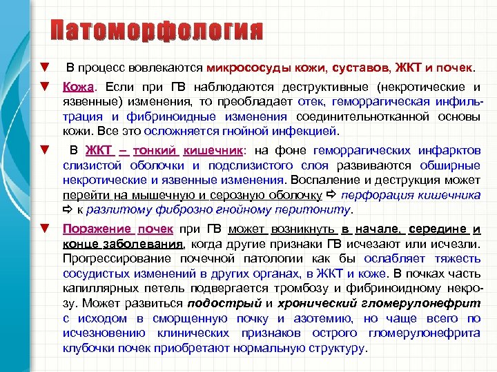 Патоморфология ▼ ▼ В процесс вовлекаются микрососуды кожи, суставов, ЖКТ и почек. Кожа. Если
