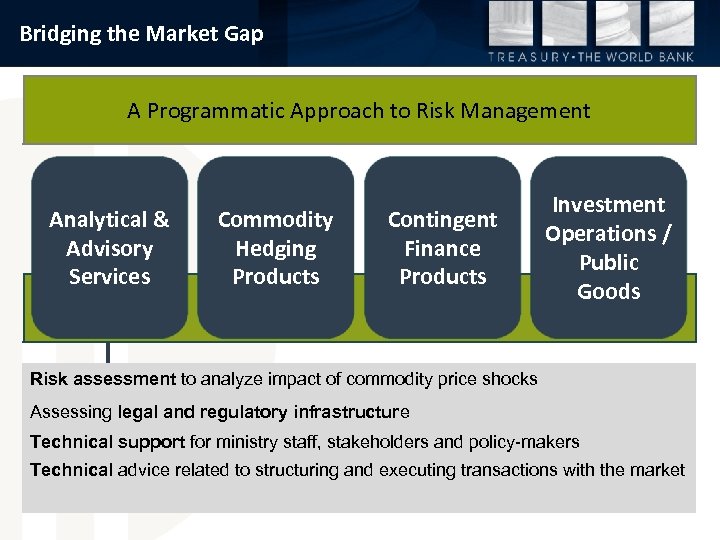 Bridging the Market Gap A Programmatic Approach to Risk Management Analytical & Advisory Services