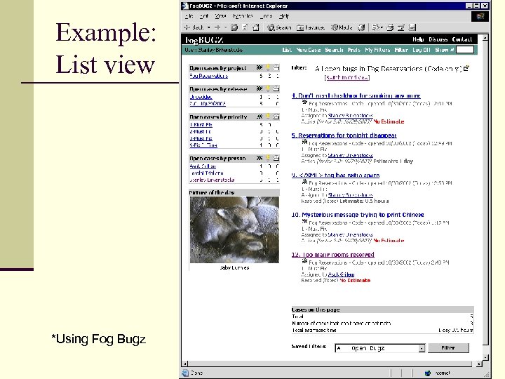 Example: List view *Using Fog Bugz 