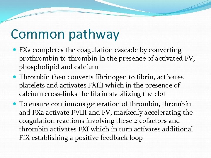 Common pathway FXa completes the coagulation cascade by converting prothrombin to thrombin in the