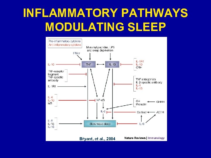 INFLAMMATORY PATHWAYS MODULATING SLEEP Bryant, et al. , 2004 