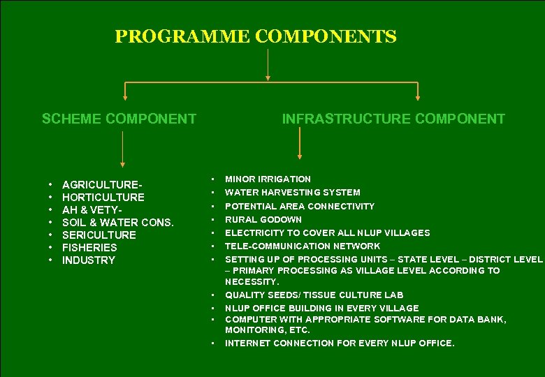 PROGRAMME COMPONENTS SCHEME COMPONENT • • AGRICULTUREHORTICULTURE AH & VETYSOIL & WATER CONS. SERICULTURE