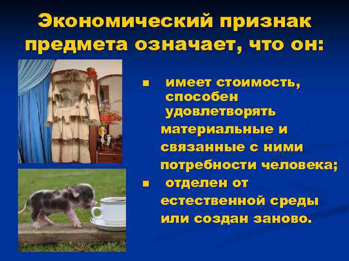 Экономический признак предмета означает, что он: n n имеет стоимость, способен удовлетворять материальные и