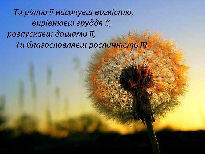 Ти ріллю її насичуєш вогкістю, вирівнюєш груддя її, розпускаєш дощами її, Ти благословляєш рослинність