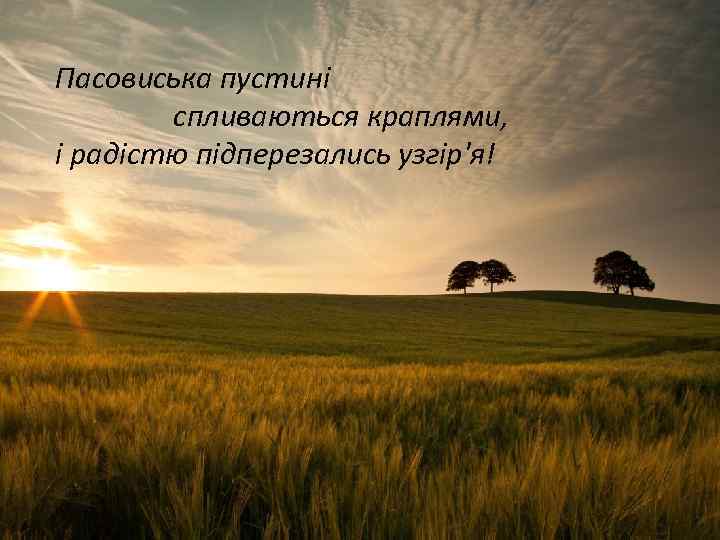 Пасовиська пустині спливаються краплями, і радістю підперезались узгір'я! 