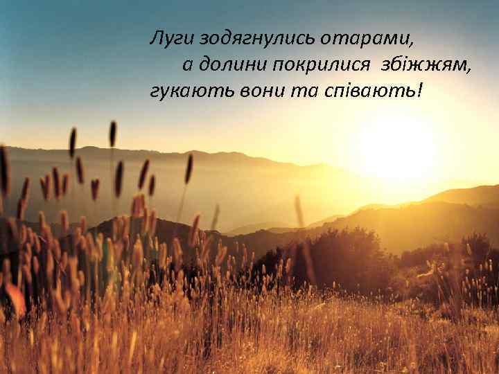 Луги зодягнулись отарами, а долини покрилися збіжжям, гукають вони та співають! 