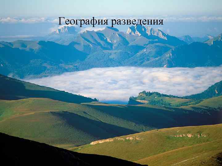 География разведения 