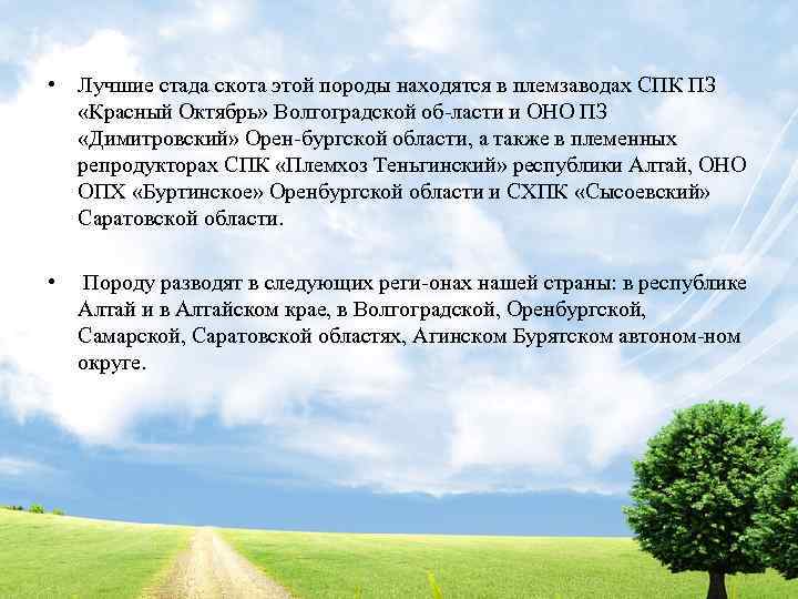 • Лучшие стада скота этой породы находятся в племзаводах СПК ПЗ «Красный Октябрь»