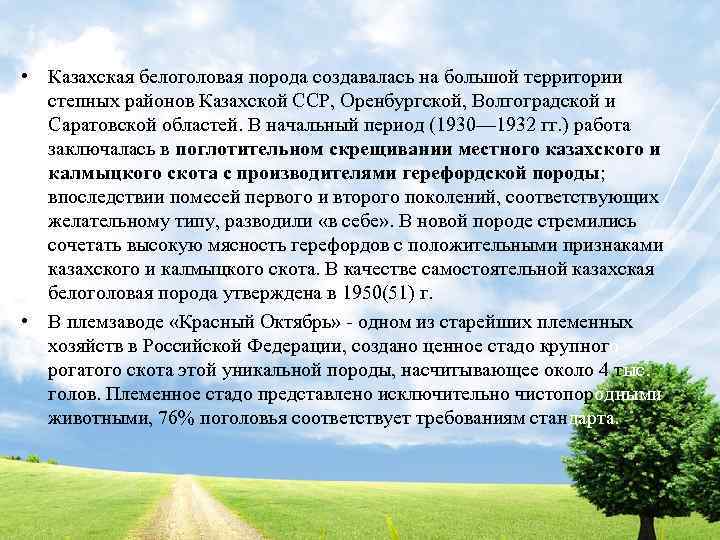  • Казахская белоголовая порода создавалась на большой территории степных районов Казахской ССР, Оренбургской,