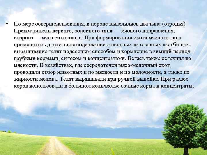  • По мере совершенствования, в породе выделились два типа (отродья). Представители первого, основного