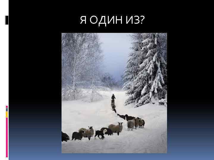 Я ОДИН ИЗ? ДА 