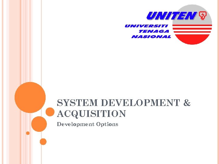 SYSTEM DEVELOPMENT & ACQUISITION Development Options 
