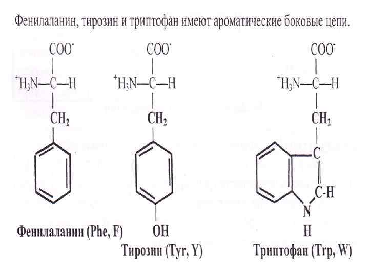 Пол биохимия