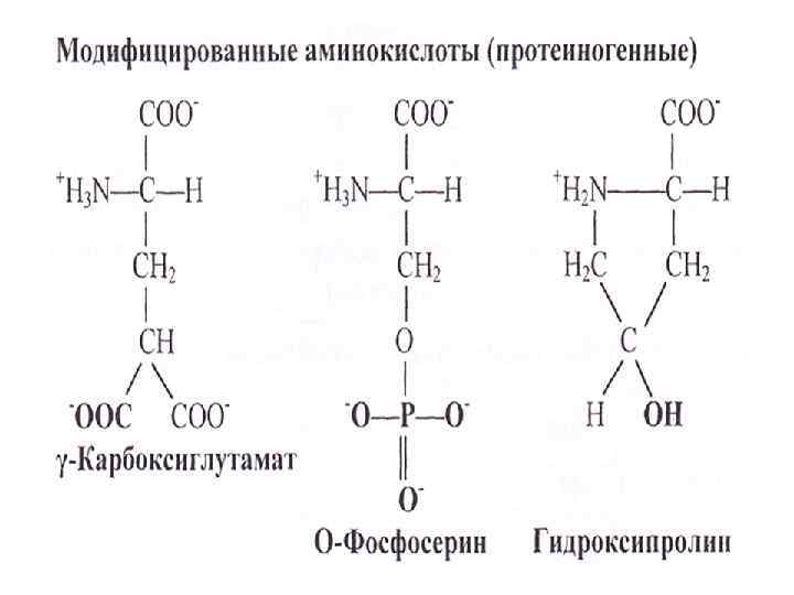 Вся биохимия в одной картинке