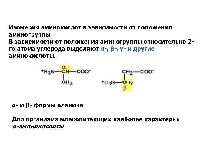 Изомерия аминокислот в зависимости от положения аминогруппы В зависимости от положения аминогруппы относительно 2