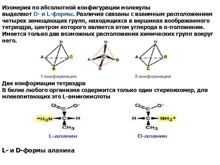 Изомерия по абсолютной конфигурации молекулы выделяют D- и L-формы. Различия связаны с взаимным расположением