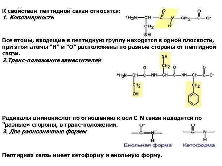 Характеристика пептидной связи в белках. Свойства пептидной связи. Строение и свойства пептидной связи. Характеристика пептидной связи. Пептидные связи: образование, строение, свойства..