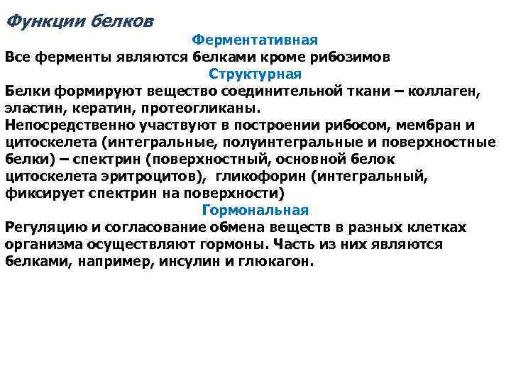 Функции белков Ферментативная Все ферменты являются белками кроме рибозимов Структурная Белки формируют вещество соединительной