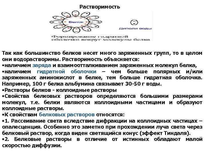 Растворимость Так как большинство белков несет много заряженных групп, то в целом они водорастворимы.