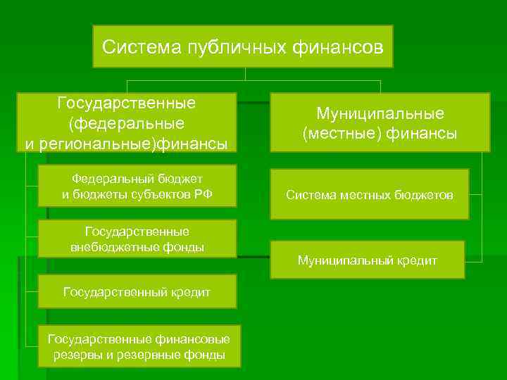 Система публичных финансов Государственные (федеральные и региональные)финансы Федеральный бюджет и бюджеты субъектов РФ Государственные